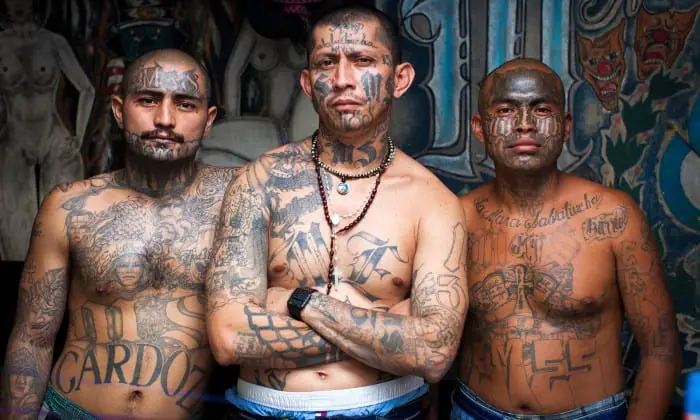 Largest gang population by country