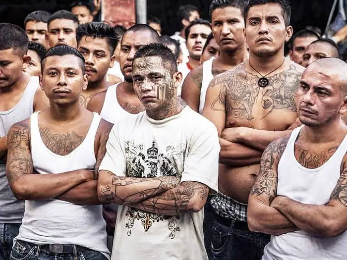 Top 10 Most Dangerous Gangs in the World 2023 - PickyTop