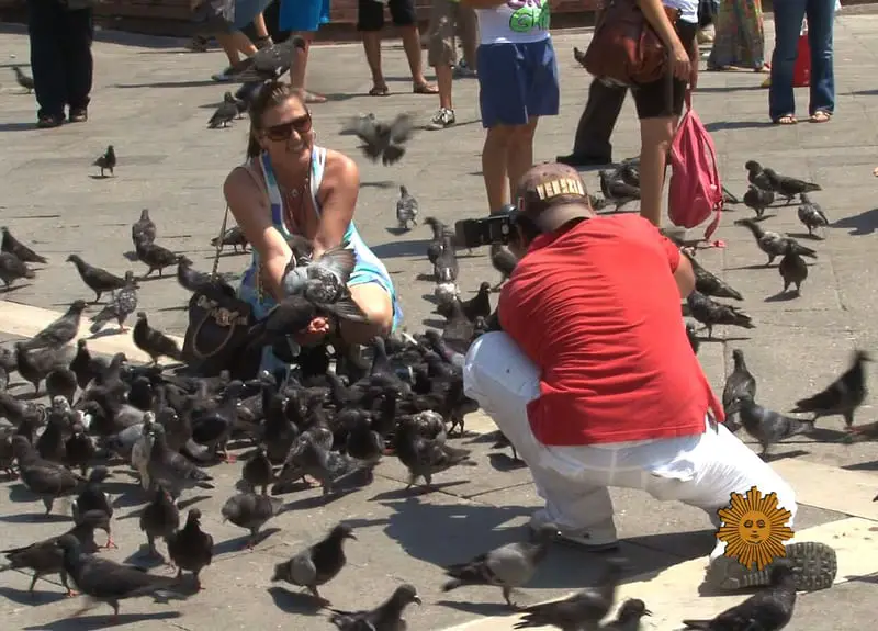 Top Weird Laws in the World