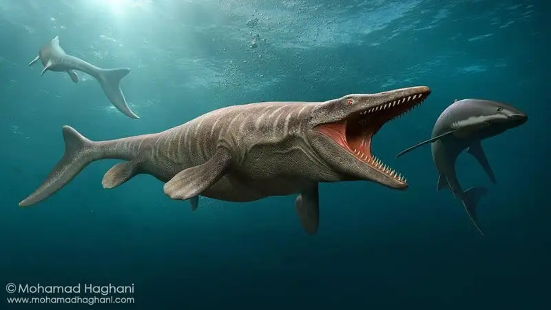 Top 10 Scariest Prehistoric Sea Creatures