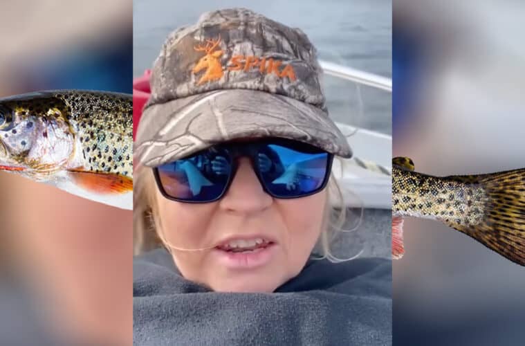 tassie trout lady video