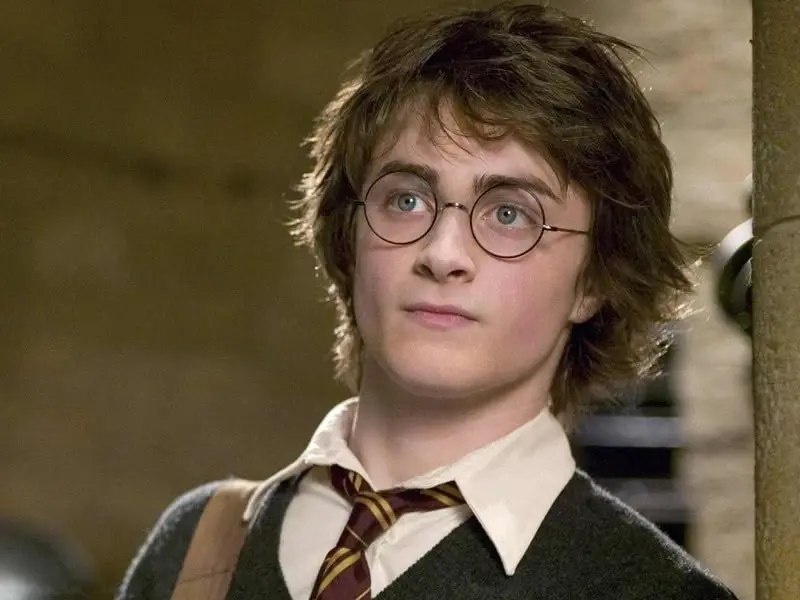 how old is harry in goblet of fire